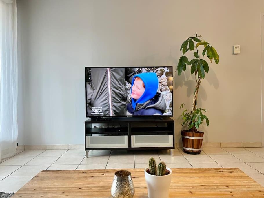 L'Ideal Cosy-Wifi-Netflix Et Garage فيين المظهر الخارجي الصورة